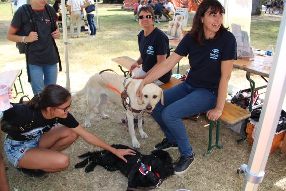 Chiens Guides d'Aveugles du Grand Sud Ouest : soutien des associations