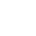 Icone optique